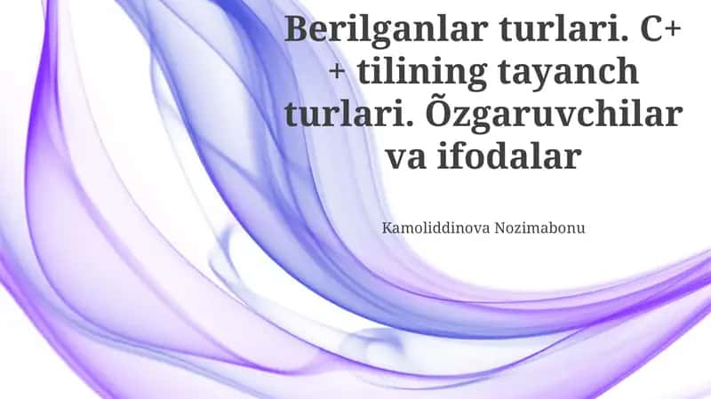 Ma'lumot turlari va o'zgaruvchilar 1