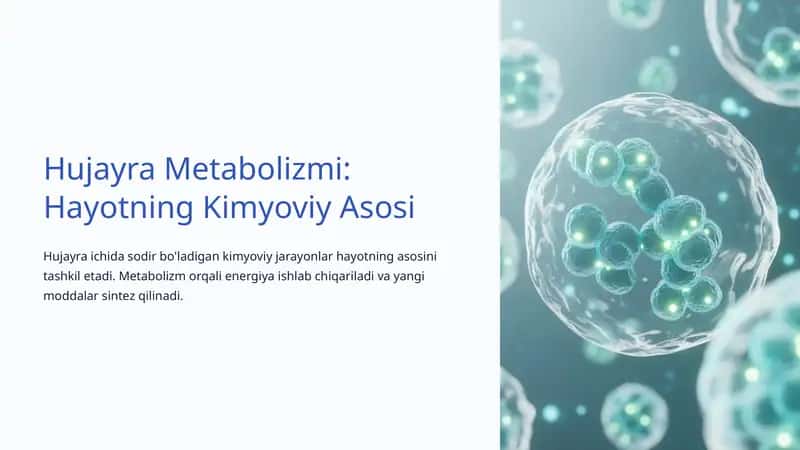 Hujayra Metabolizmi: Hayotning Kimyoviy Asosi 1
