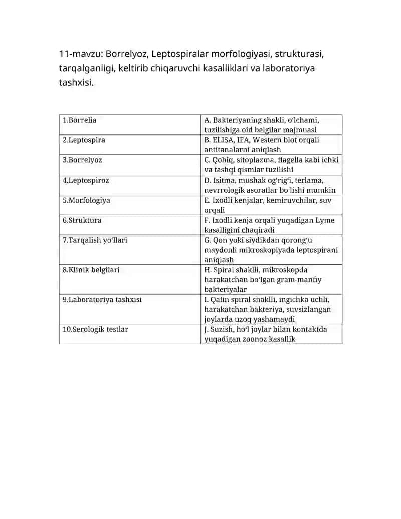 Borrelyoz, Leptospiralar morfologiyasi, strukturasi, tarqalganligi, keltirib chiqaruvchi kasalliklar