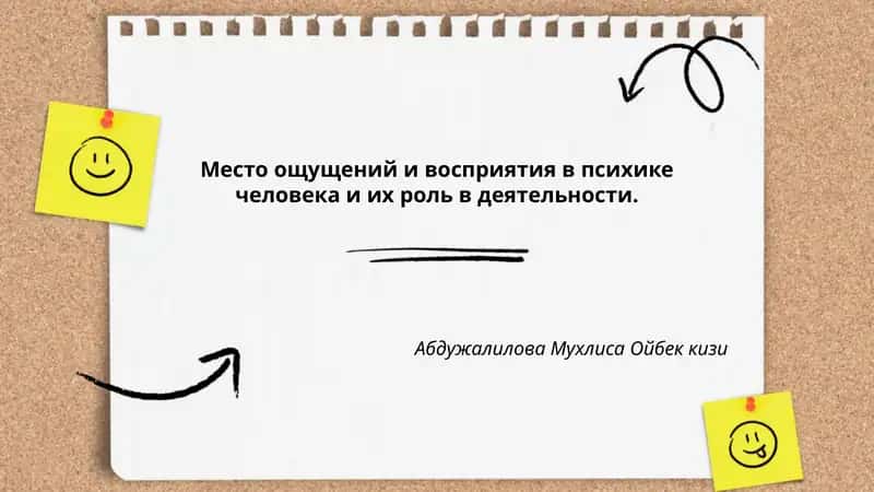 Место ощущений и восприятия в психике человека и их роль в деятельности 1