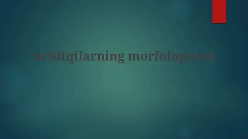 Achitqilarning morfologiyasi 1