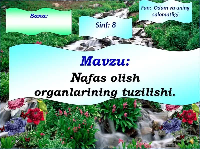 8-sinf odam va uning salomatligi 1