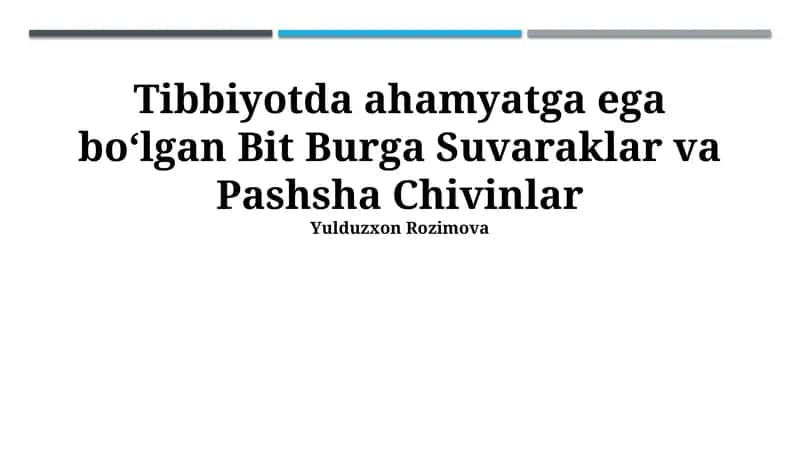 Bit Burga Suvaraklar va Pashsha Chivinlar 1
