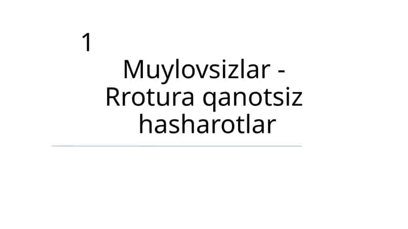 Muylovsizlar - Rrotura qanotsiz hasharotlar 1