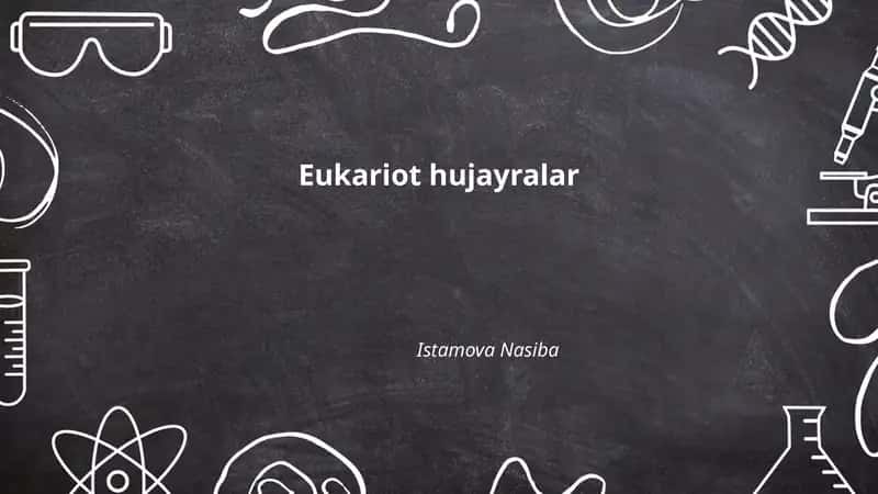 Eukariot hujayralar 1
