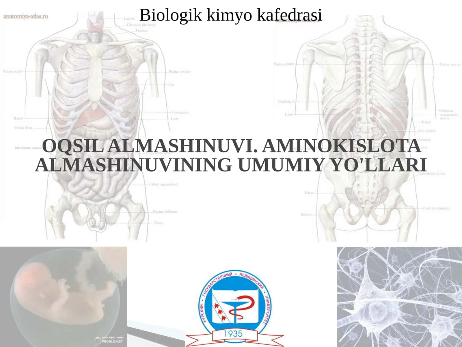 OQSIL ALMASHINUVI. AMINOKISLOTA ALMASHINUVINING UMUMIY YO'LLARI 1