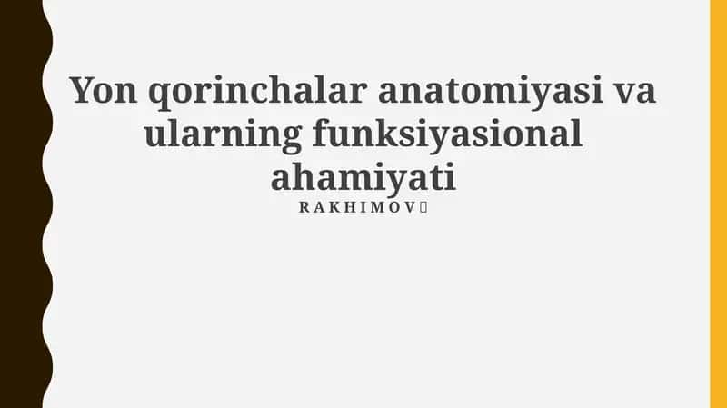 Qorinchalar anatomiyasi va ularning funksiyasional ahamiyati 1