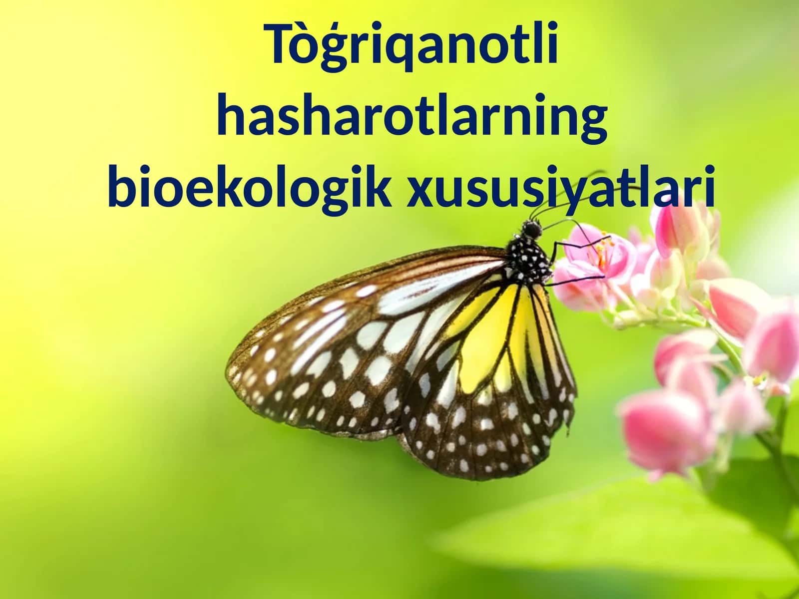 To‘liq O‘zgarish Bilan Rivojlanuvchi Hasharotlar 1