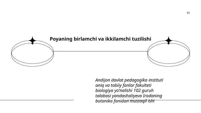 Poyaning birlamchi va ikkilamchi tuzilishi 1