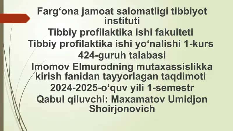 SEO va JSB strukturasi va faoliyati 1