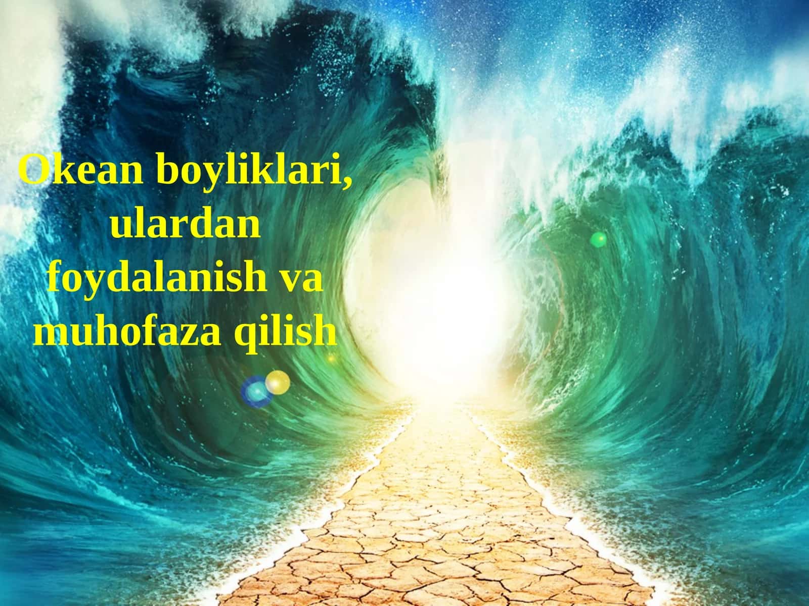 Okean boyliklari, ulardan foydalanish va muhofaza qilish 1