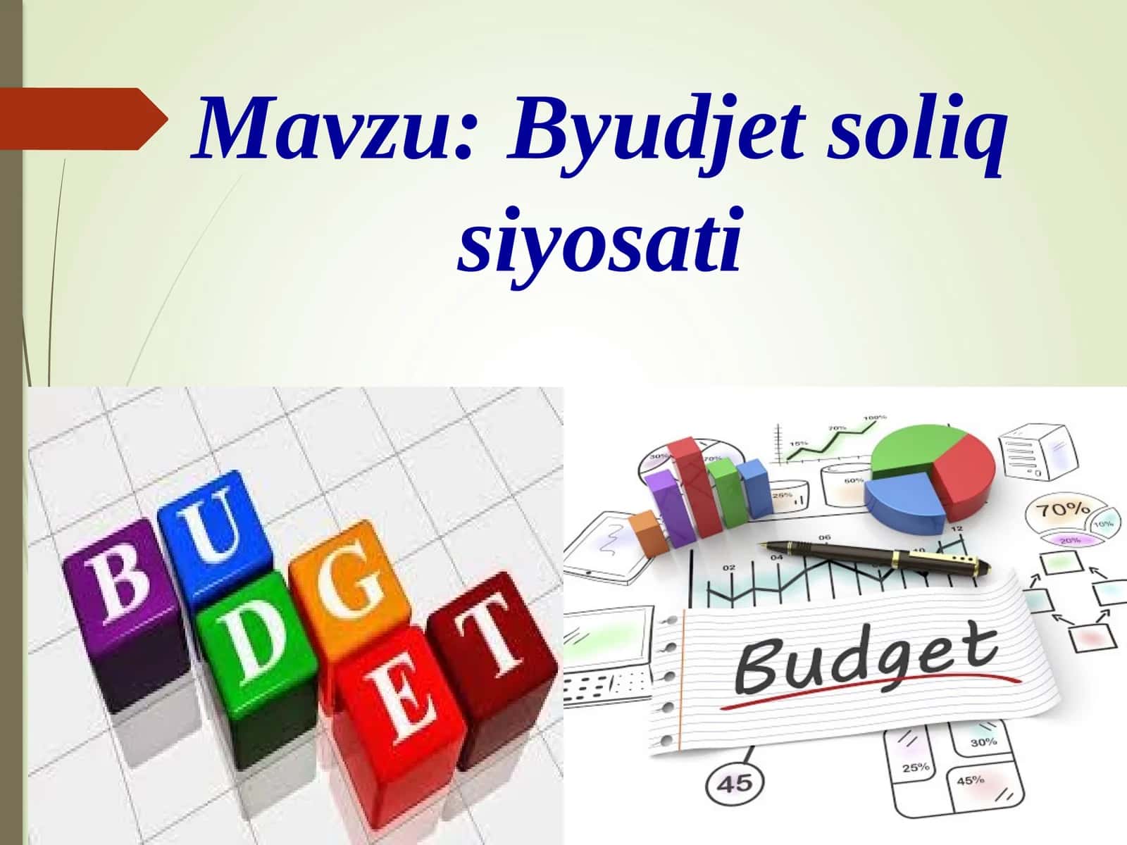 Byudjetsoliq siyosati 1