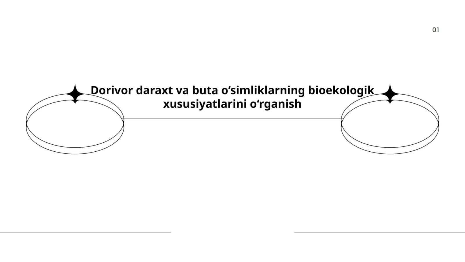 Dorivor daraxt va buta o‘simliklarning bioekologik xususiyatlarini o‘rganish 1