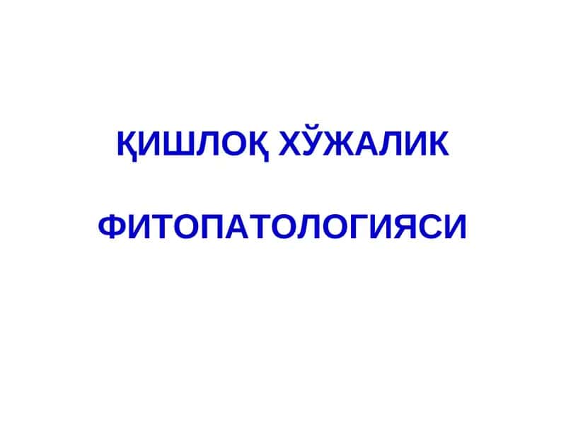 Уруғ мевали дарахтларнинг касалликлари ва уларга қарши кураш чоралари 1