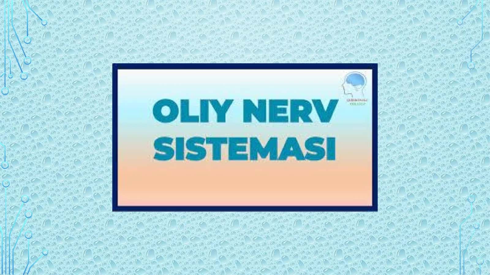 Oliy nerv faoliyati 1