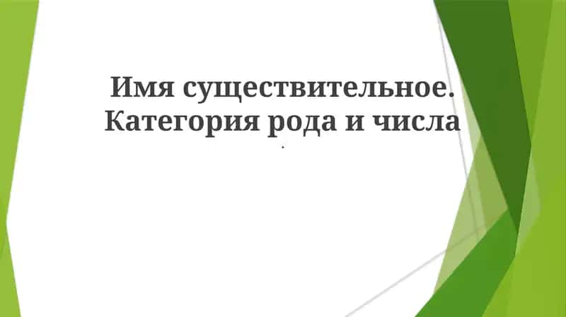 Имя существительное. Категория рода и числа 1