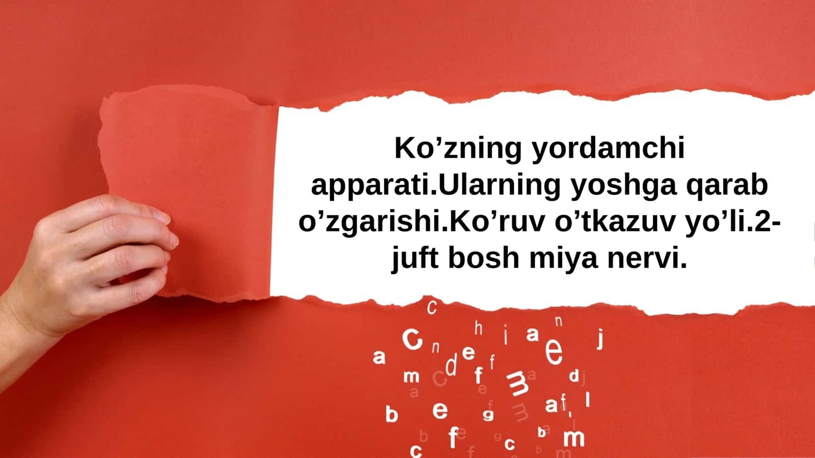 Ko’zning yordamchi apparati.Ularning yoshga qarab o’zgarishi.Ko’ruv o’tkazuv yo’li.2-juft bosh miya nervi 1