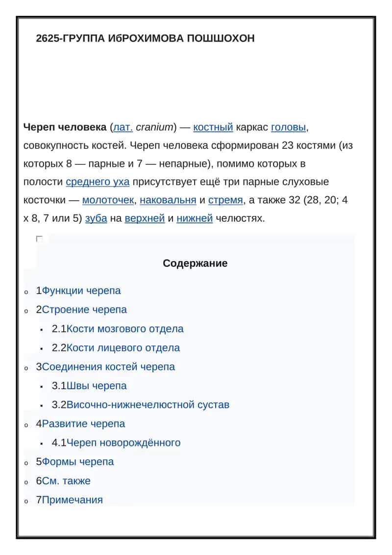 Череп человека 1