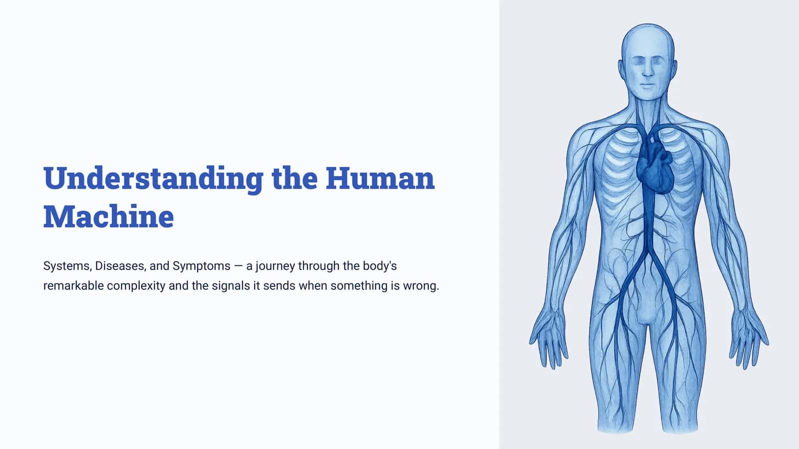 The Interconnected Body 1