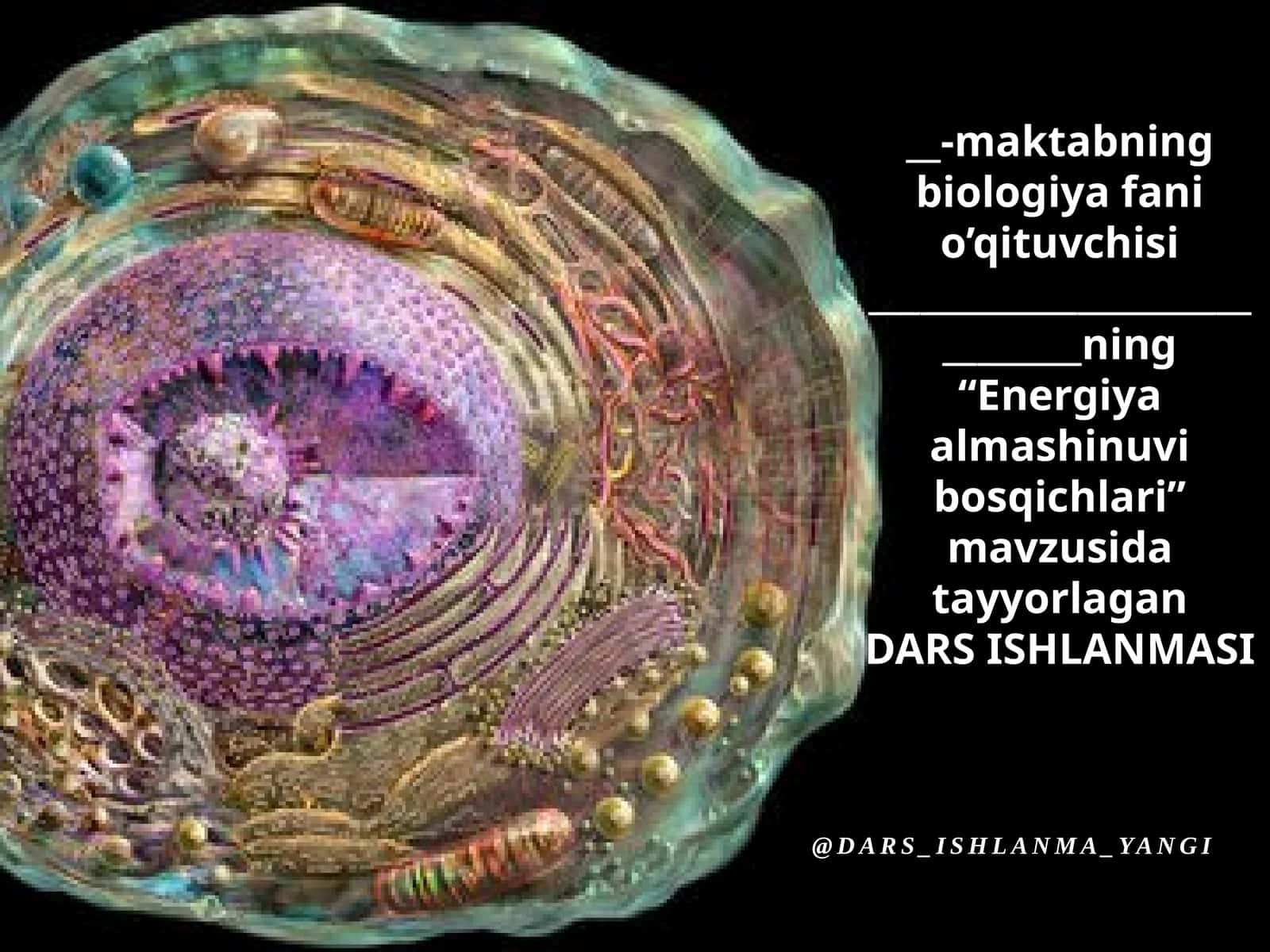 Energiya almashinuvi bosqichlari 1