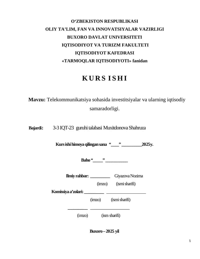 Tarmoqlar iqtisodiyoti kurs ishi 1