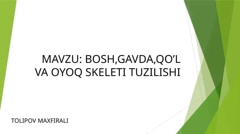 BOSH,GAVDA,QO’L VA OYOQ SKELETI TUZILISHI 1