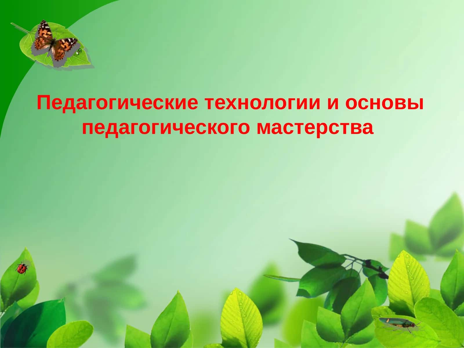 Педагогические технологии и основы педагогического мастерства 1
