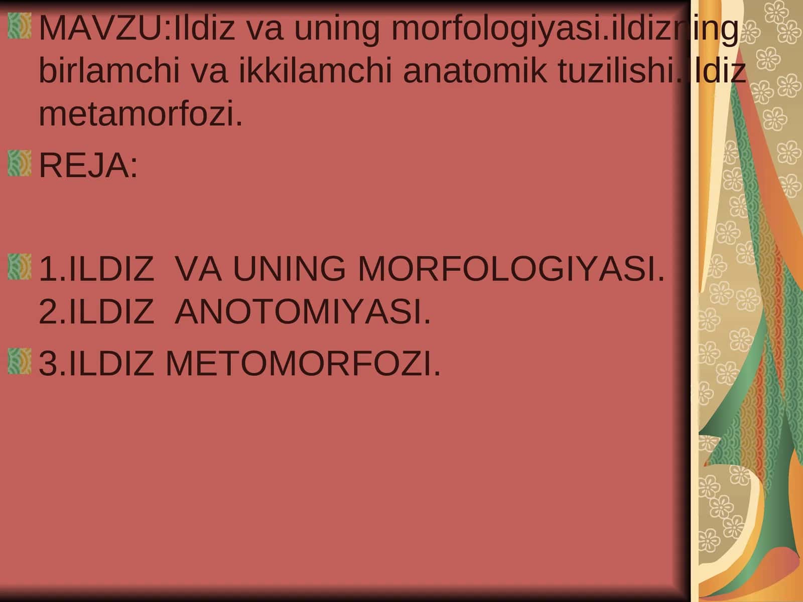 Ildiz va uning morfologiyasi 1