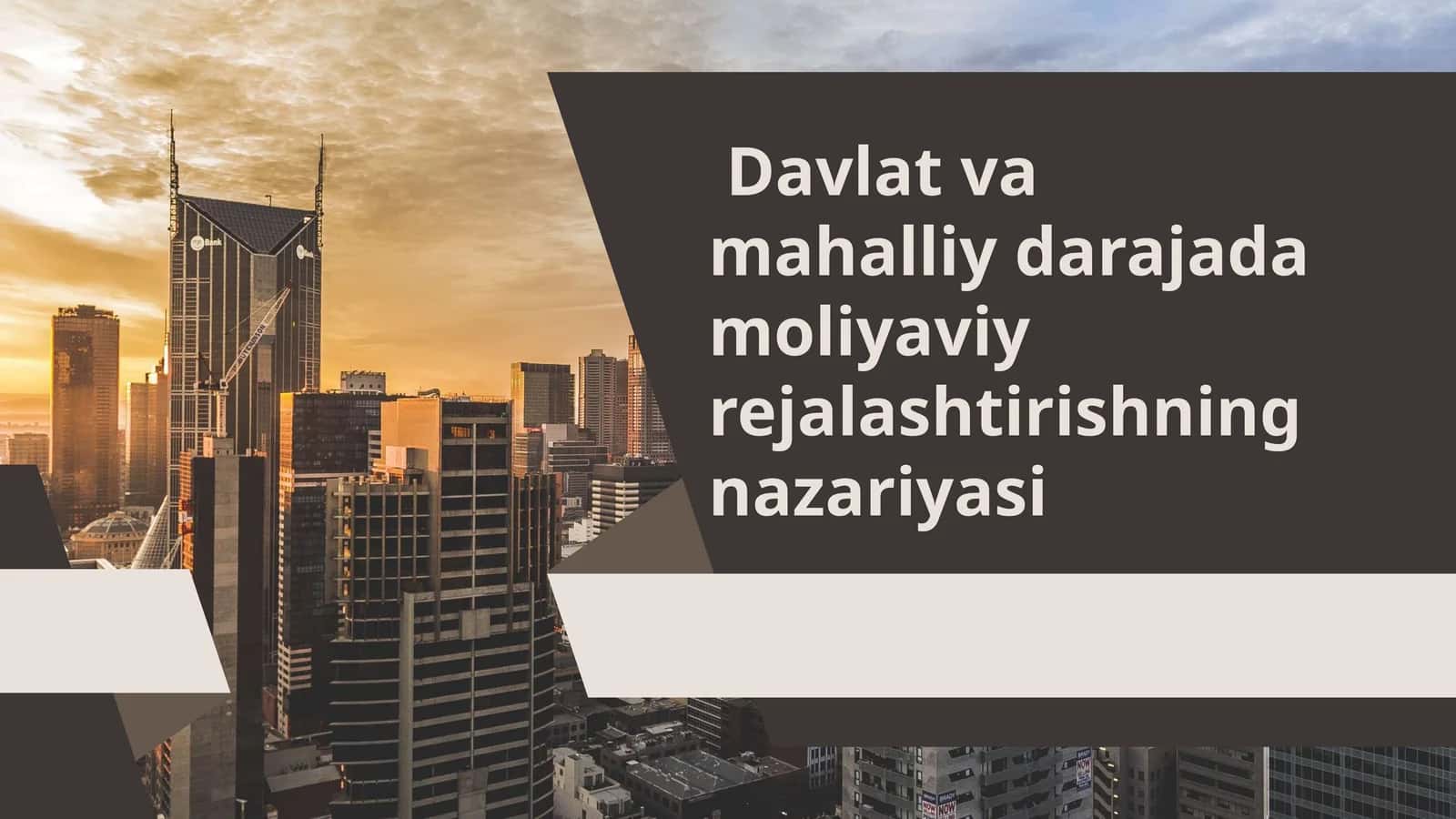 Davlat va mahalliy darajada moliyaviy rejalashtirishning nazariyasi 1