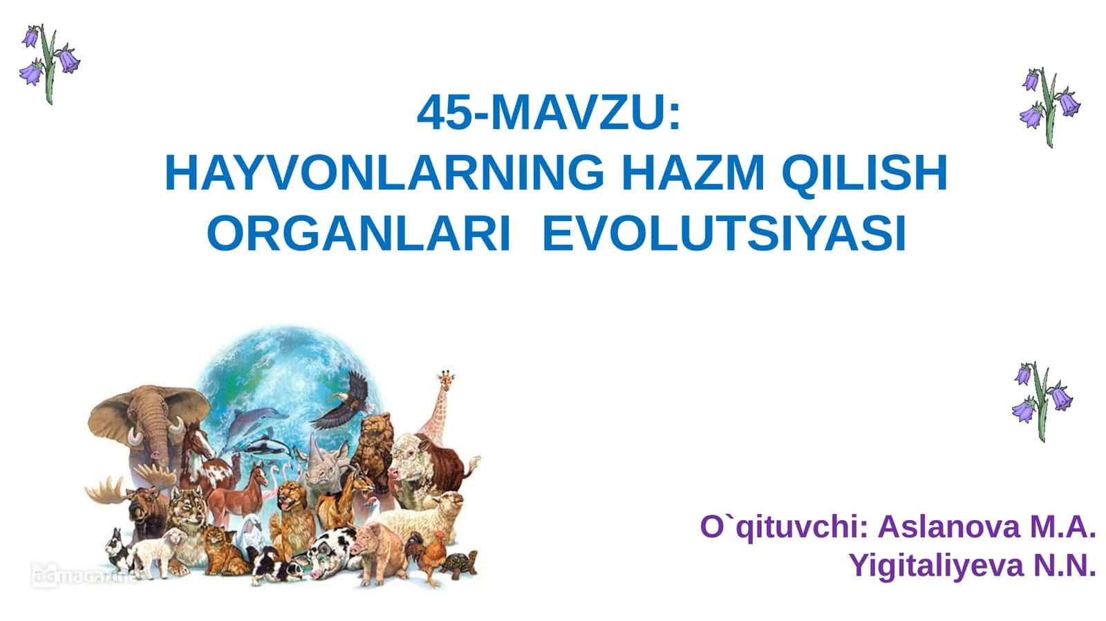 HAYVONLARNINGHAZM QILISH ORGANLARIEVOLUTSIYASI 1