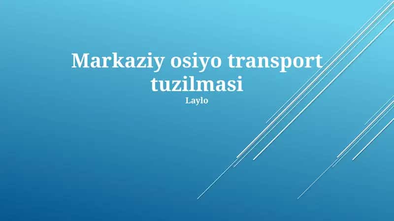 Markaziy osiyo transport tuzilmasi 1