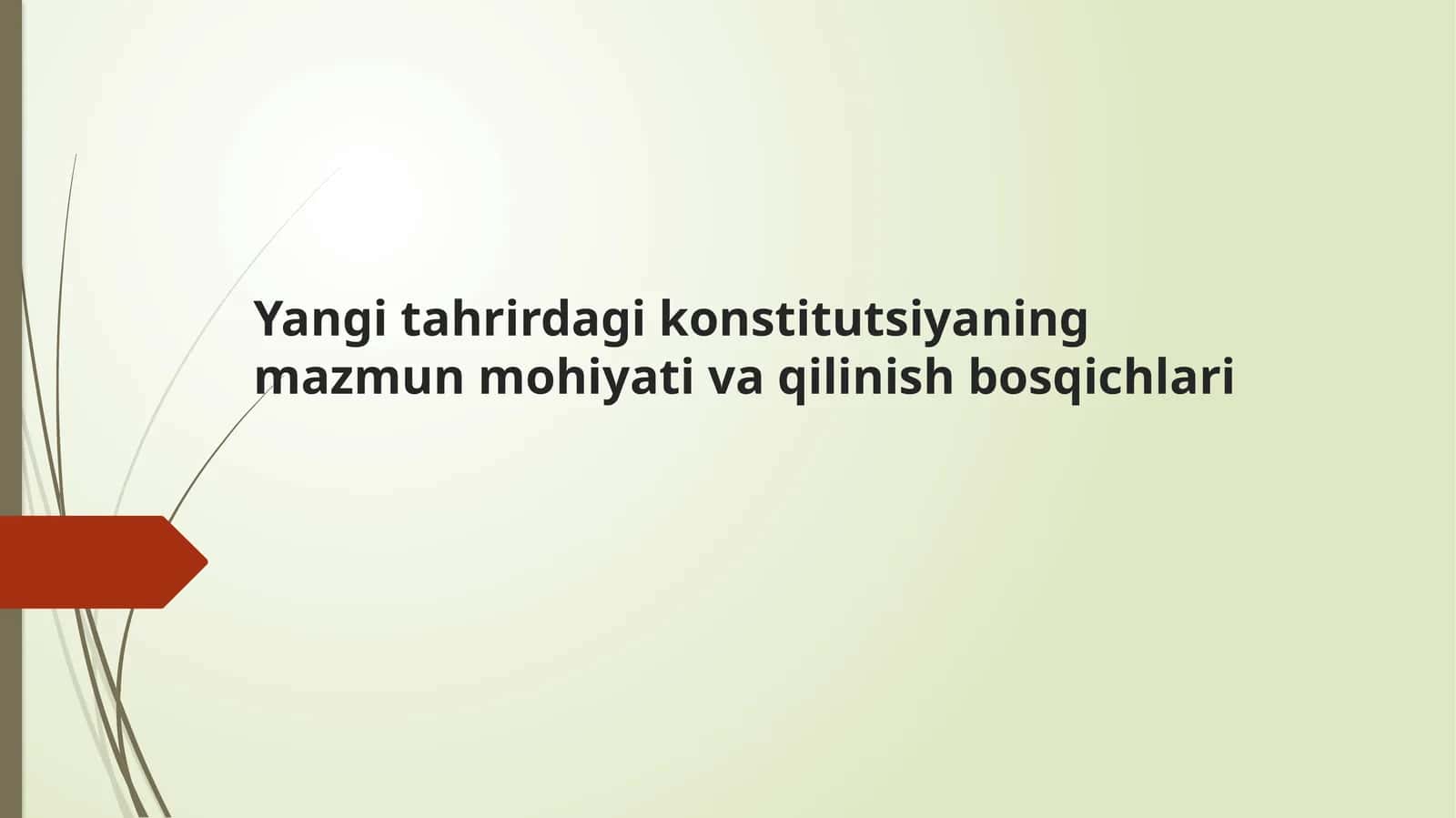 Yangi tahrirdagi konstitutsiyaning mazmun mohiyati va qilinish bosqichlari 1
