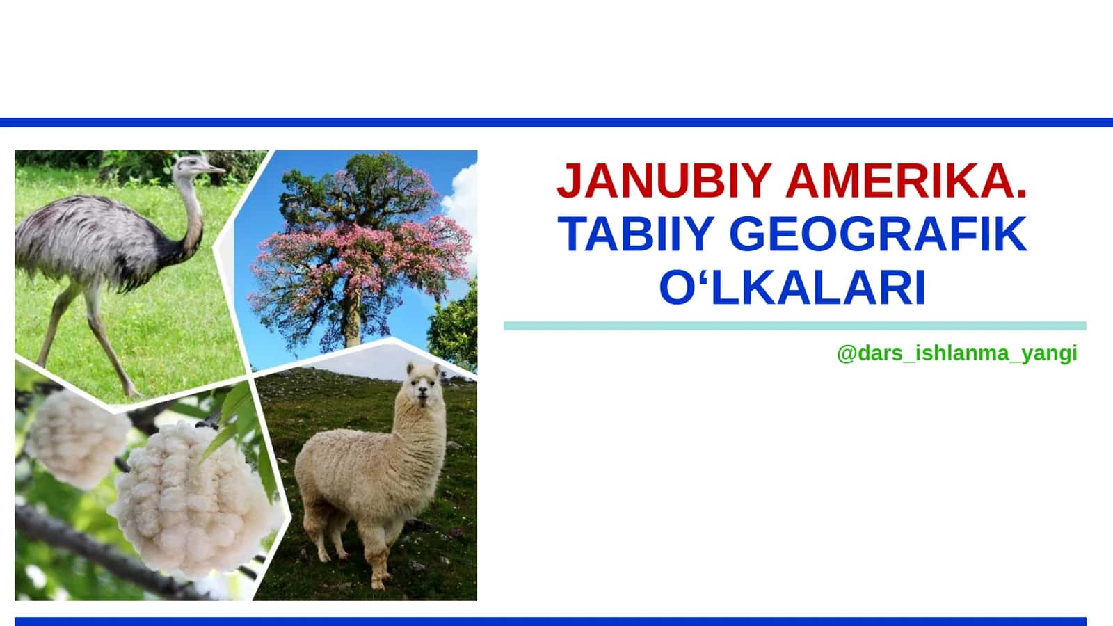 JANUBIY AMERIKA.TABIIY GEOGRAFIK O‘LKALARI 1