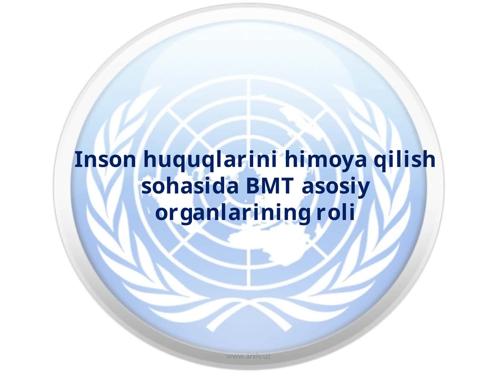 Inson huquqlarini himoya qilish sohasida BMT asosiy organlarining roli 1
