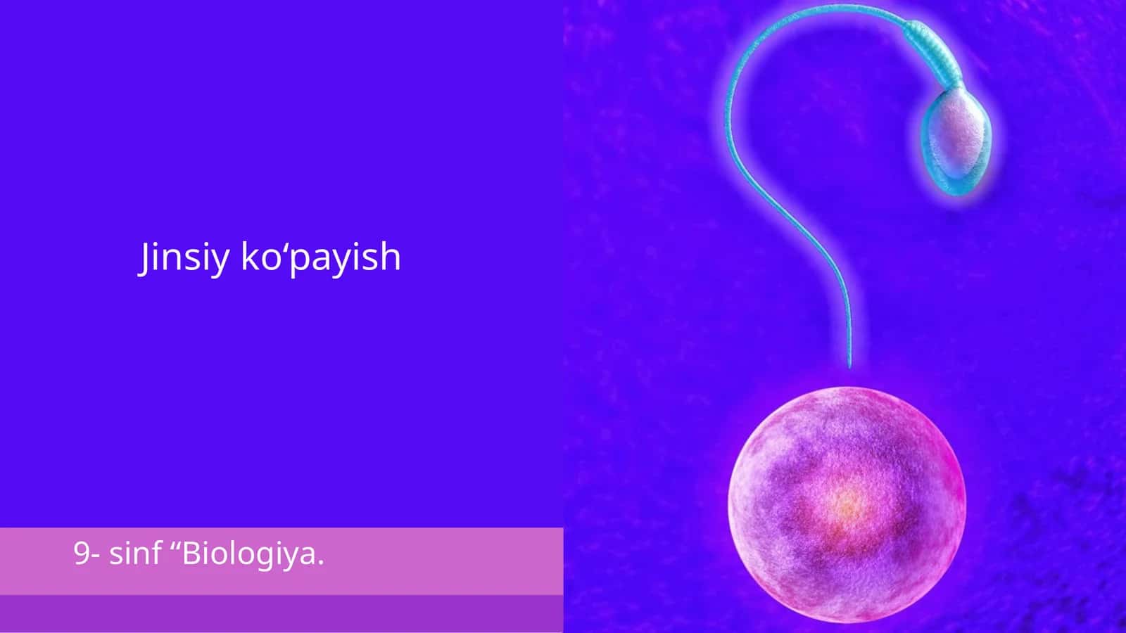 Jinsiy ko‘payish 1