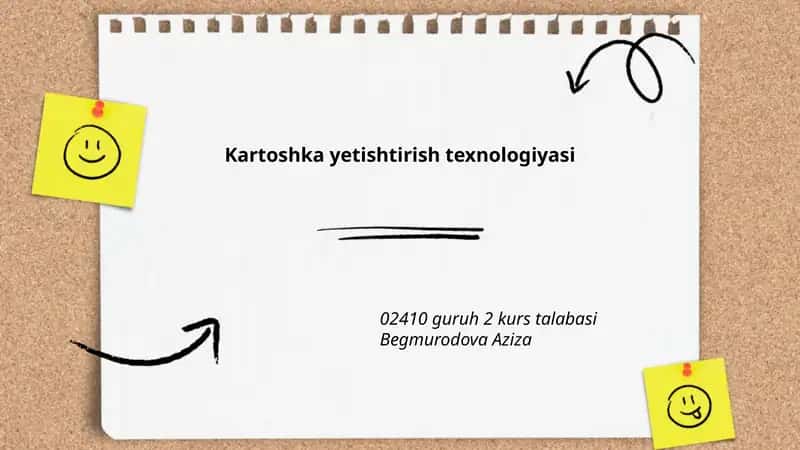 Kartoshka yetishtirish texnologiyasi 1