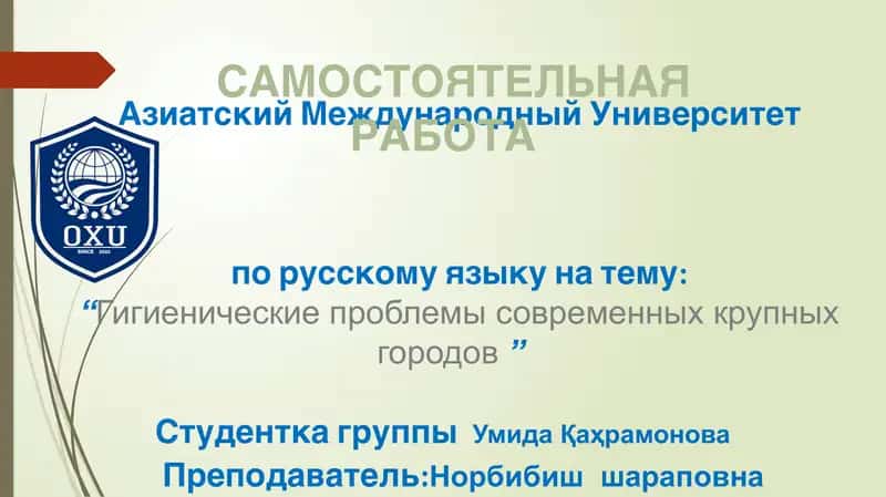 Гигиенические проблемы современных крупных городов 1