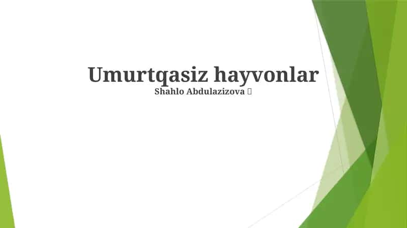 Umurtqasiz hayvonlar 1