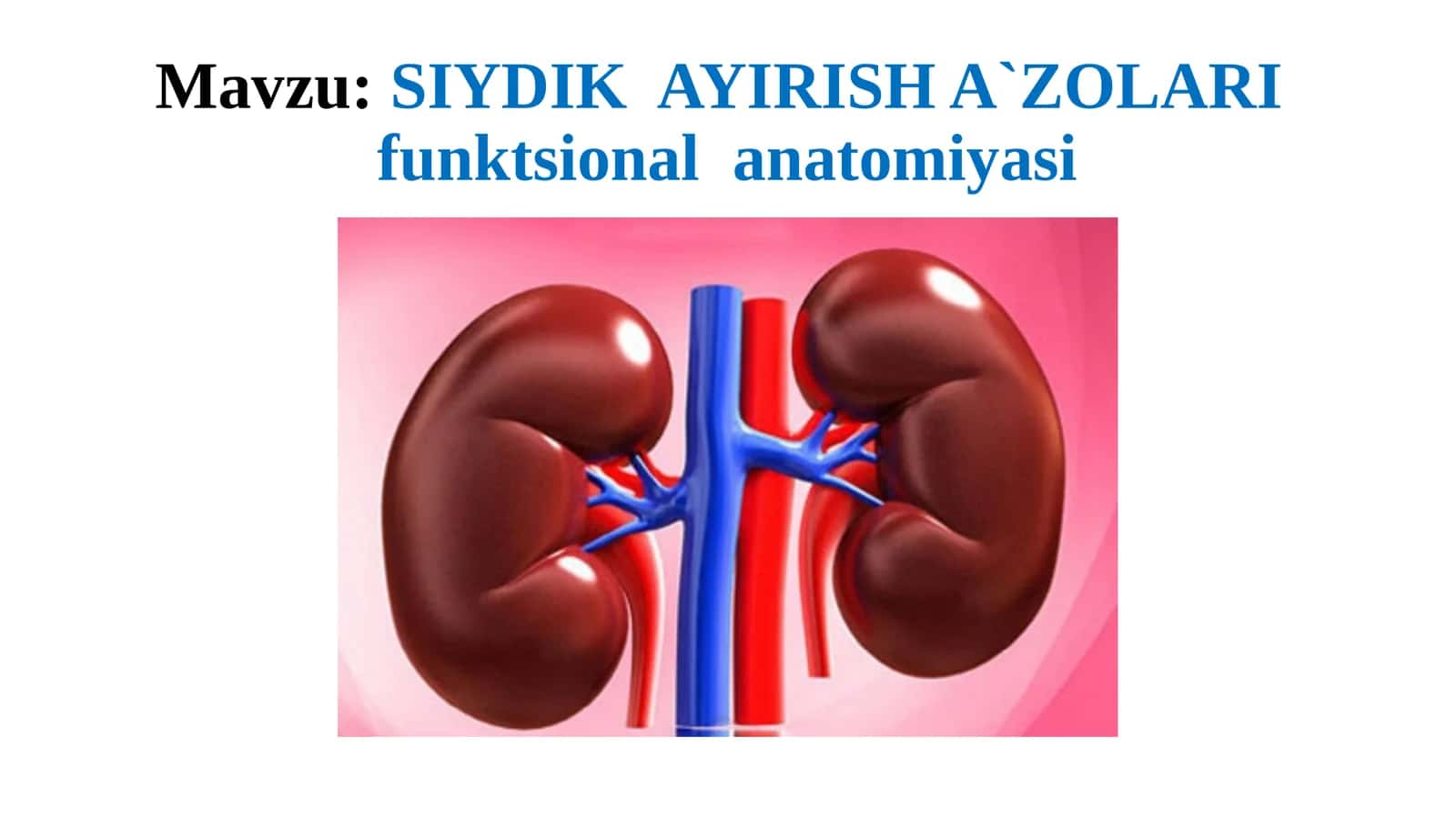 SIYDIKAYIRISH A`ZOLARI 1