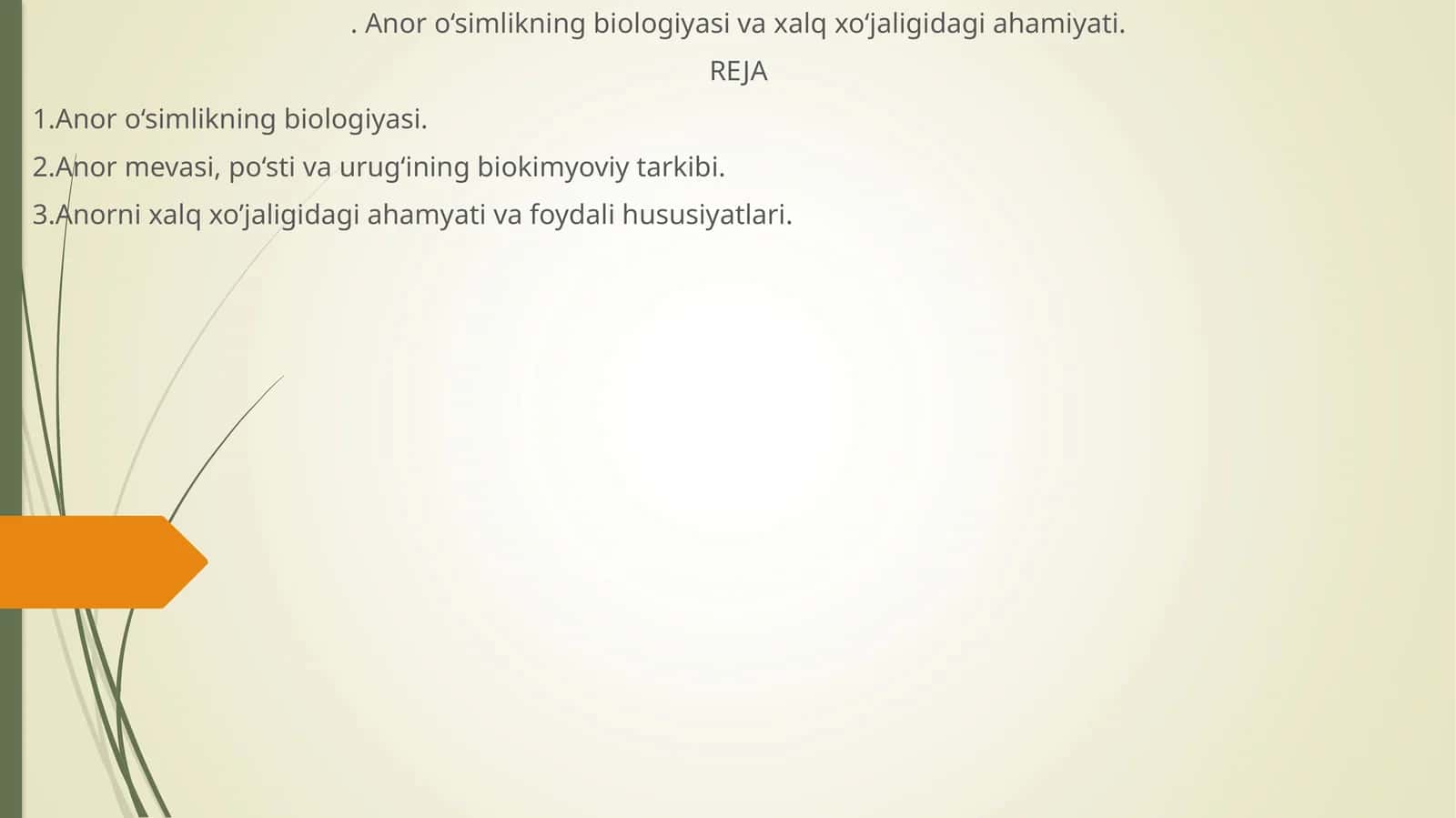 Anor o‘simlikning biologiyasi va xalq xo‘jaligidagi ahamiyati 1