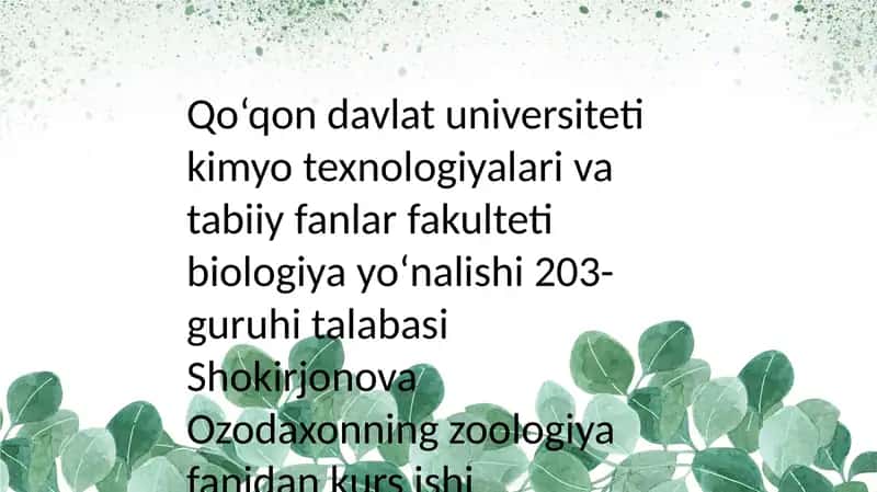 Ikki qanotlilar turkumi: tuzilishi, turtarkibi, tarqalishi, biologik xususiyatlar va ahamiyati 1
