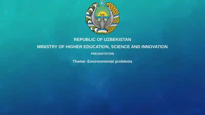 Environmental Problems Presentation