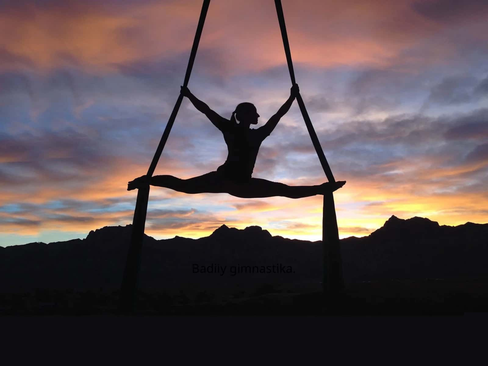 Badiiy gimnastika 1