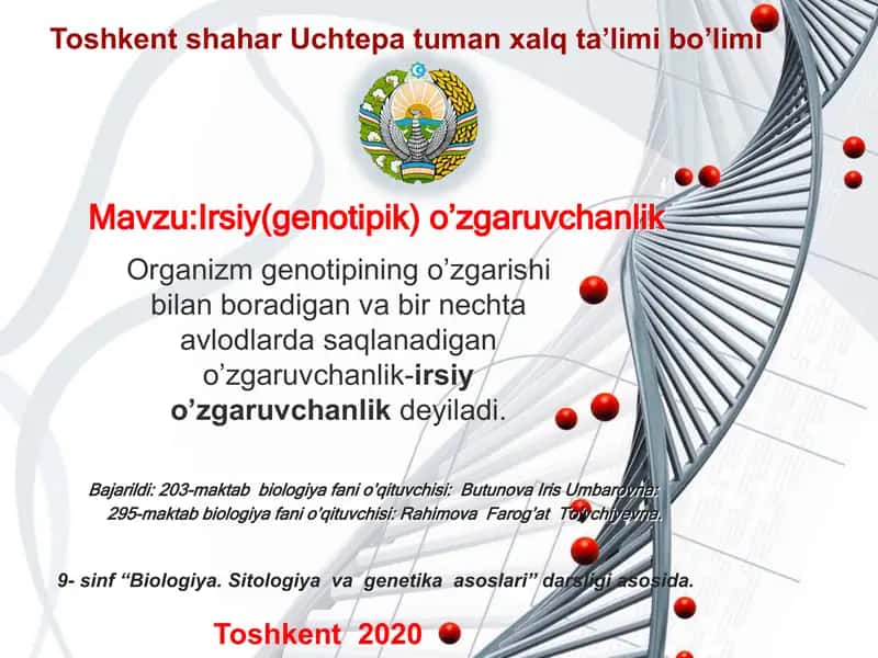 Iroda nazariyasi va tadqiqoti 1
