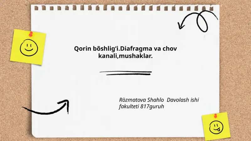 Qorin bo'shlig'ining umumiy anatomik chegaralari 1