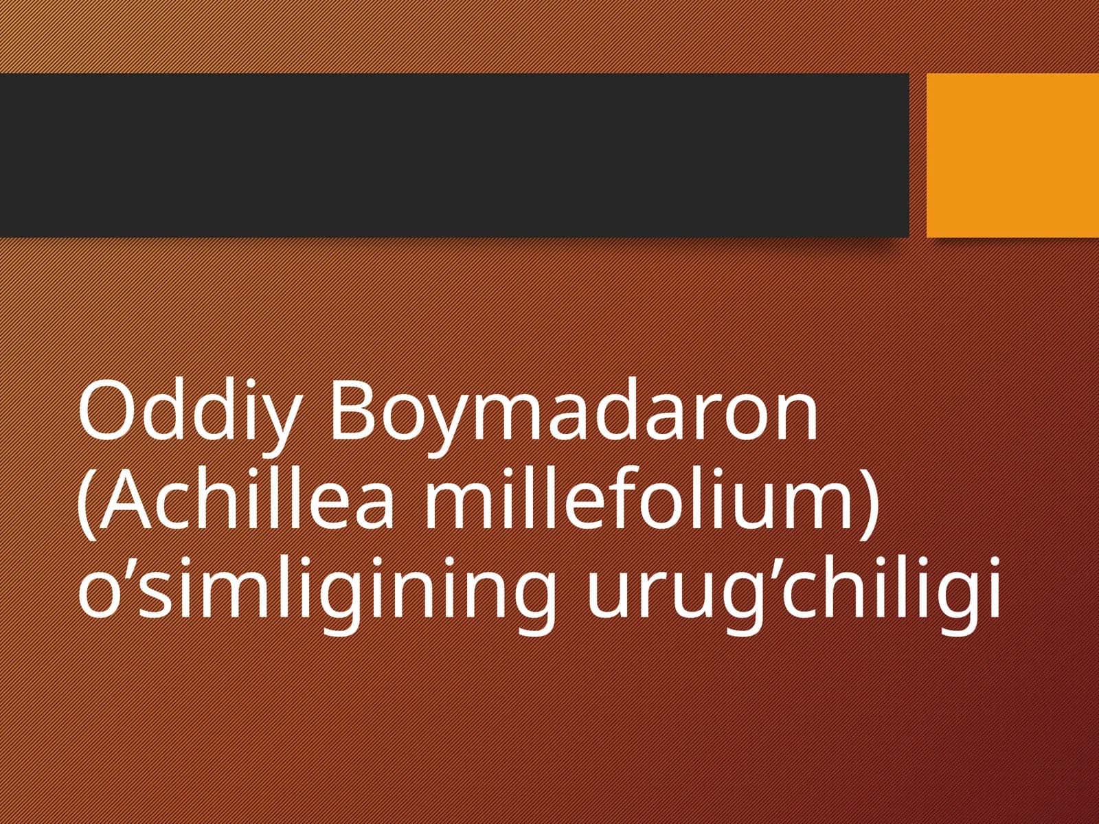 Oddiy Boymadaron (Achillea millefolium) 1