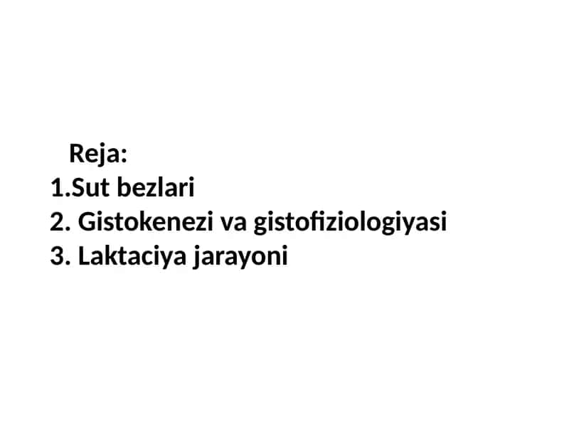 Sut bezi gistologiyasi 1