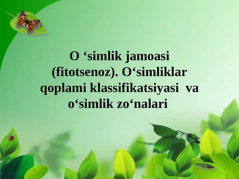 O ‘simlik jamoasi (fitotsenoz). Oʻsimliklar qoplami klassifikatsiyasi  va oʻsimlik zoʻnalari 1