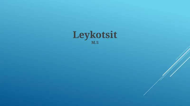 Leykotsit 1