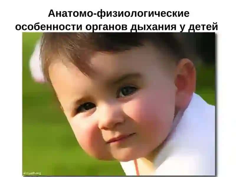 Анатомо-физиологическиеособенности органов дыхания у детей
